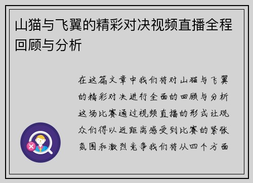 山猫与飞翼的精彩对决视频直播全程回顾与分析